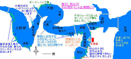 相模湖 バス 釣り ボート